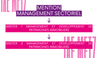 SCHEMA_MENTION_M_MDPI_WEB
